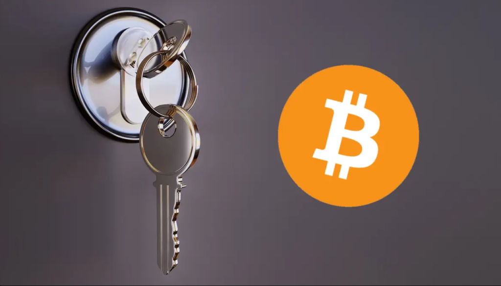 Backup Wallet NZ