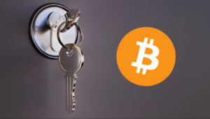 How to Backup Bitcoin Wallets NZ