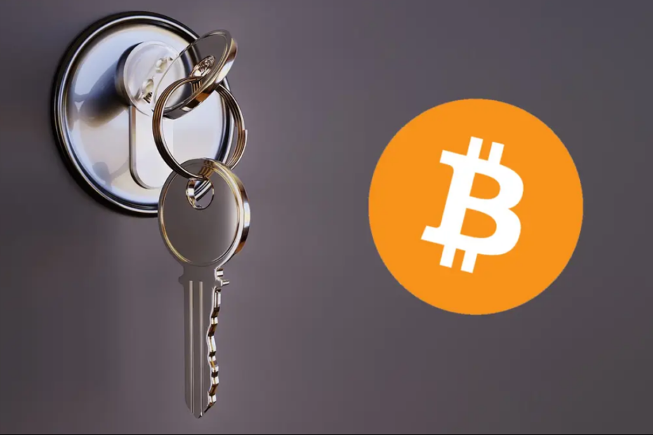 How to Backup Bitcoin Wallets NZ