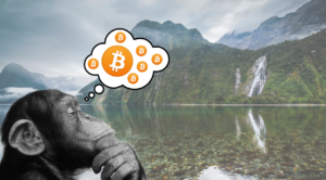 Get Crypto Bitcoin Help NZ