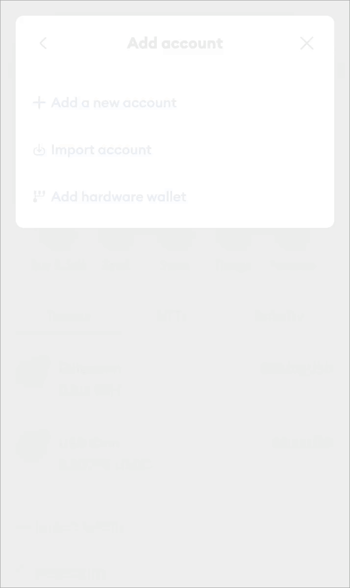 MetaMask Wallet Import Account