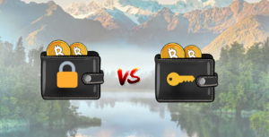 custodial vs non custodial Bitcoin NZ